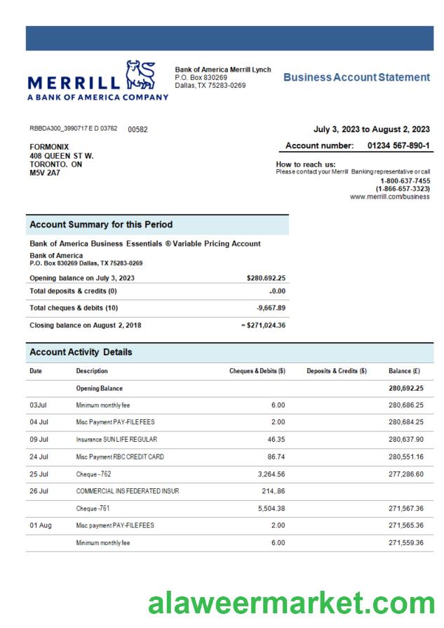 Merrill Bank organization account statement Word and PDF template